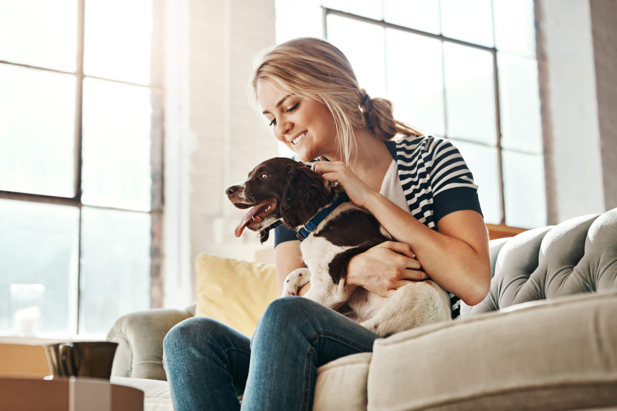 bank geschikt voor honden